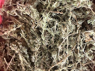 Dried Thyme